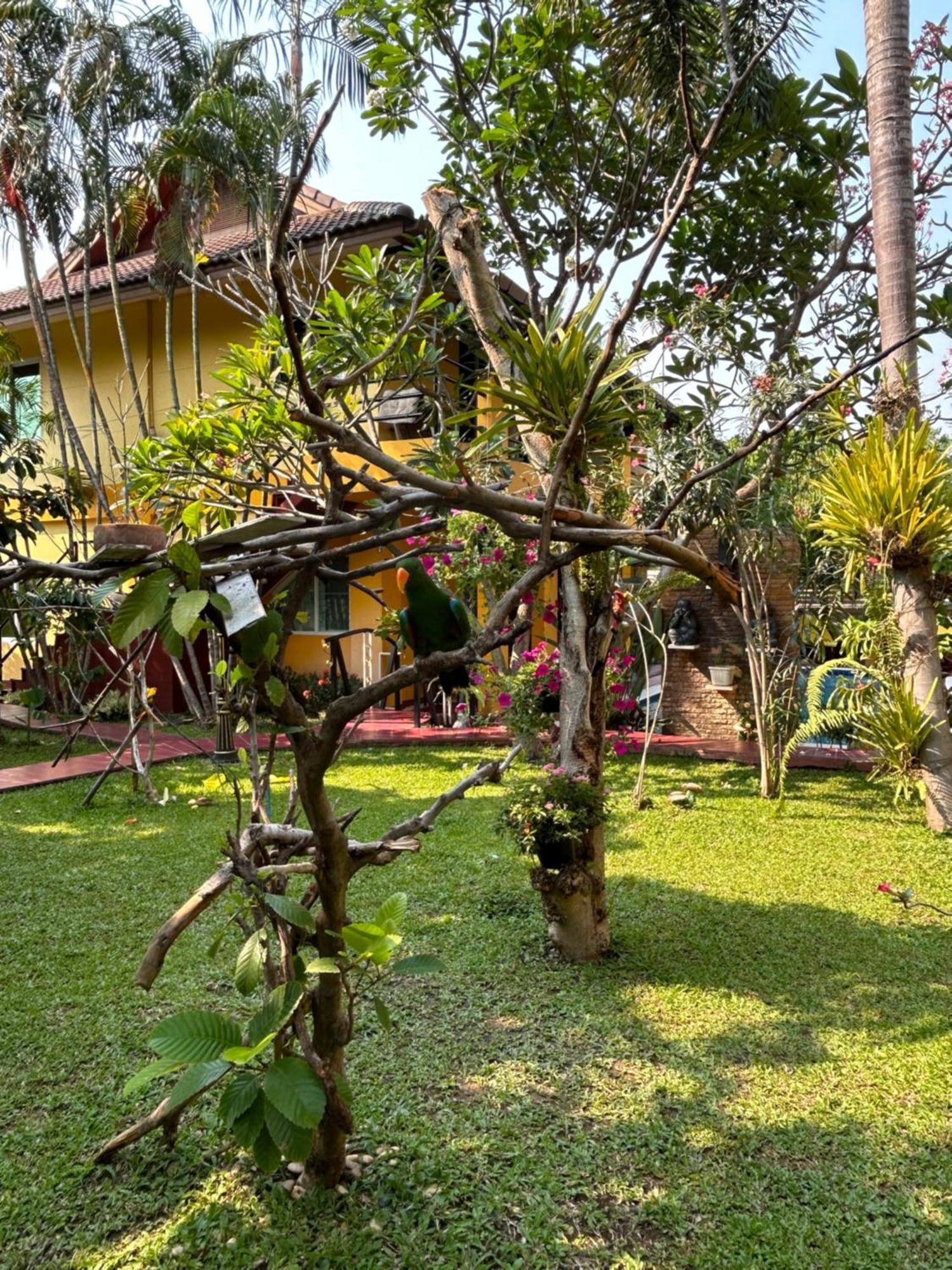 Lamduan Boutique Homestay Chiang Mai Exterior photo